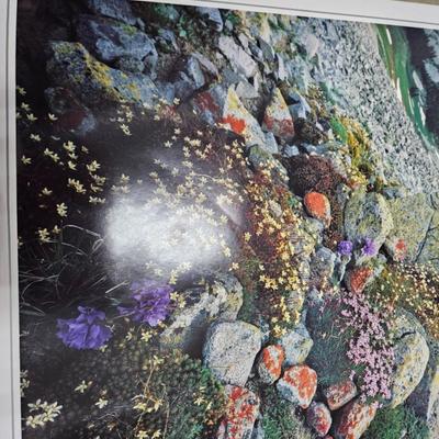 Sale Photo Thumbnail #240: Commemorative Poster of the 25th Anniversary of The Wilderness Act

Dimensions: 24x36
Damage: Normal wear