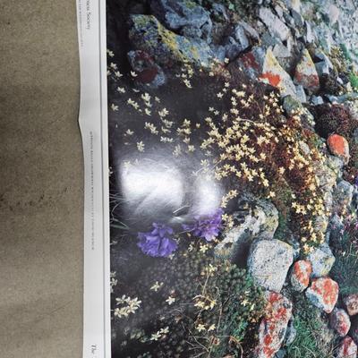 Sale Photo Thumbnail #241: Commemorative Poster of the 25th Anniversary of The Wilderness Act

Dimensions: 24x36
Damage: Normal wear