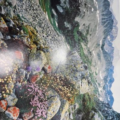 Sale Photo Thumbnail #239: Commemorative Poster of the 25th Anniversary of The Wilderness Act

Dimensions: 24x36
Damage: Normal wear
