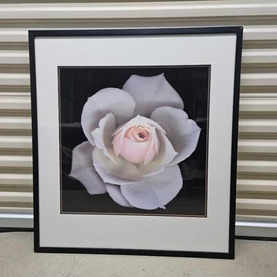 Sale Photo Thumbnail #417: Matted & Framed Art, “Peach Rose”

Dimensions: 34.5x31.5
Damage: Normal wear