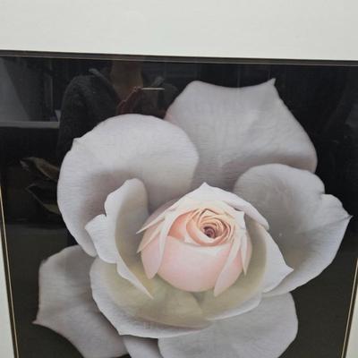 Sale Photo Thumbnail #418: Matted & Framed Art, “Peach Rose”

Dimensions: 34.5x31.5
Damage: Normal wear