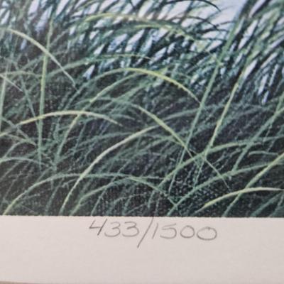 Sale Photo Thumbnail #432: Matted & Framed Giclee of “Inlet Marsh” by Jim Harrison
Description: Pencil signed and numbered 433/1500
Dimensions: 21x24
Damage: Normal wear