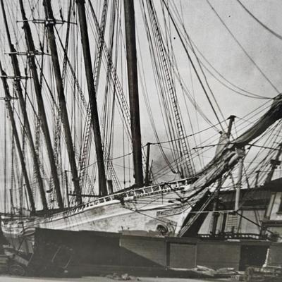 Sale Photo Thumbnail #445: Matted & Framed Photograph of a Masted Schooner 
Description: Signed by the artist
Dimensions: 21x17
Damage: Normal wear