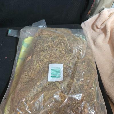 Large Lot of Dried Floral Stems & Fillers – Eucalyptus, Statice, Wheat, Grasses & More