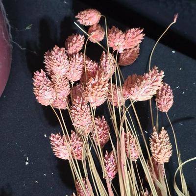 Large Lot of Dried Floral Stems & Fillers – Eucalyptus, Statice, Wheat, Grasses & More