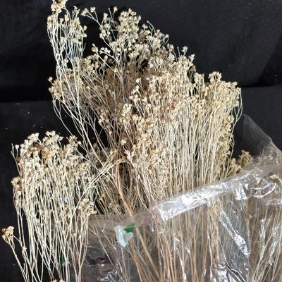 Large Lot of Dried Floral Stems & Fillers – Eucalyptus, Statice, Wheat, Grasses & More