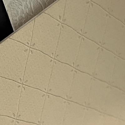 Lot 389 Lot #9 Matting material