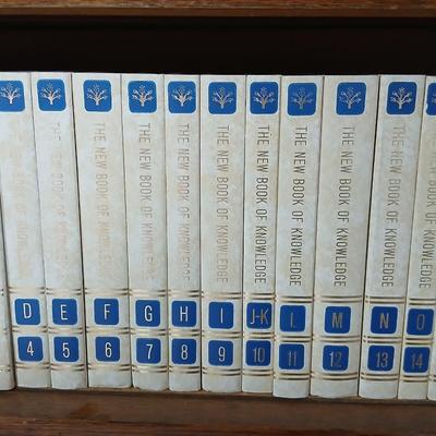Antique Globe-Wernicke Bookcase – C-11 Grade 198 - Property of Weld County Law Library with bottom drawer - Full of books!
