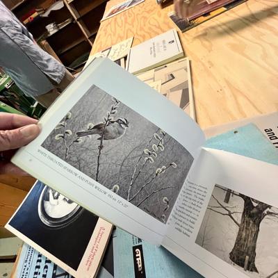 Lot 415 Art books