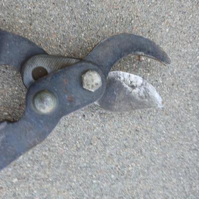 3 Garden Tools – Shears, Loppers & Water Wand