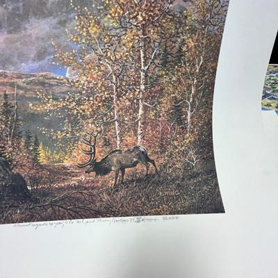 Lot 439 Ft. Morgan Lot