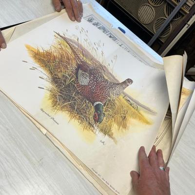 Lot 447 Asst Prints