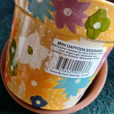 Assorted Planters – Terracotta & Ceramic mostly