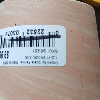 Assorted Planters – Terracotta & Ceramic mostly