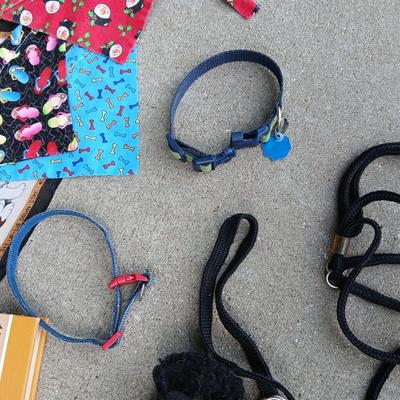 Large Lot of Dog Supplies – Collars, Grooming Tools, Bandanas, & More