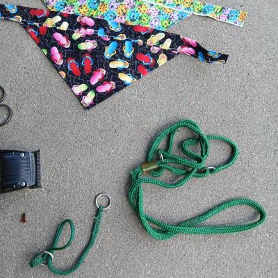 Dog Grooming & Travel Lot – Crate, Clippers, Bandanas & More