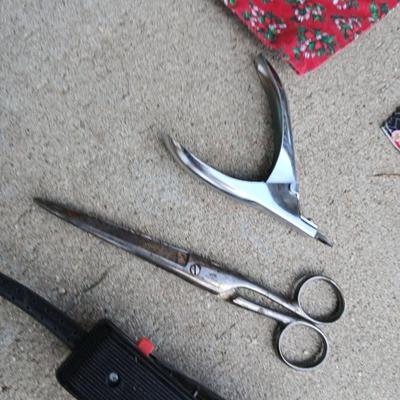 Dog Grooming & Travel Lot – Crate, Clippers, Bandanas & More
