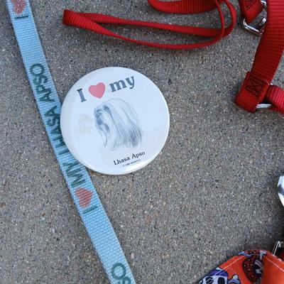 Dog Apparel & Accessories Lot – Holiday Sweaters, Bandanas, Harness & More