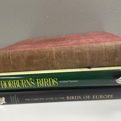 Sale Photo Thumbnail #283: Very large heavy books on birds