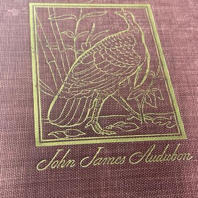 Sale Photo Thumbnail #284: Very large heavy books on birds