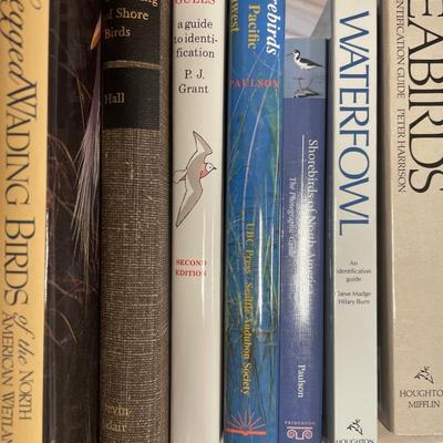 Sale Photo Thumbnail #302: Waterfowl and seabirds