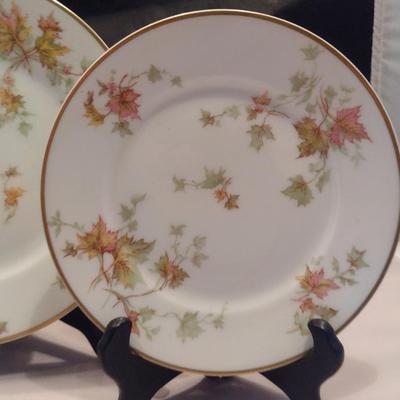 Haviland France China Set- Autumn Leaf Pattern- Approx 38 Pieces