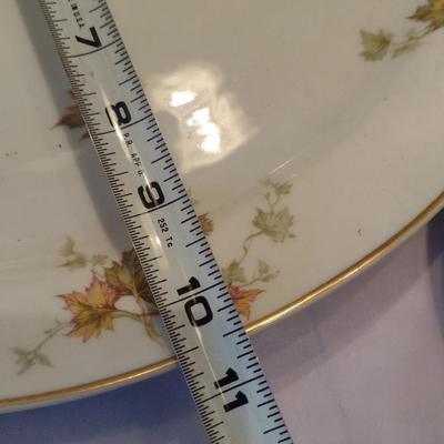 Haviland France China Set- Autumn Leaf Pattern- Approx 38 Pieces
