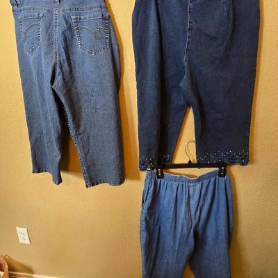 3-Piece Denim Capris & Pants Lot – Size 12 – Bandolino, Alfred Dunner, Quacker Factory