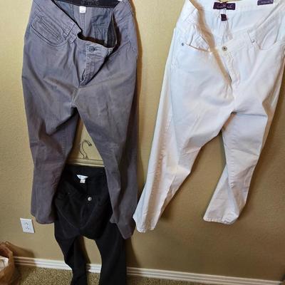 3-Piece Women's Pants Lot – Size 12 – Christopher & Banks & Gloria Vanderbilt