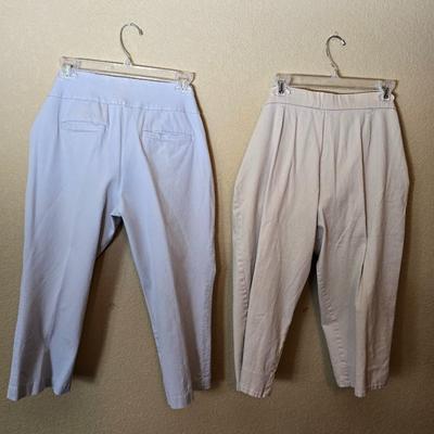 Women's Size 12 Pants – Signature Slimming & Briggs New York – Neutral Tones