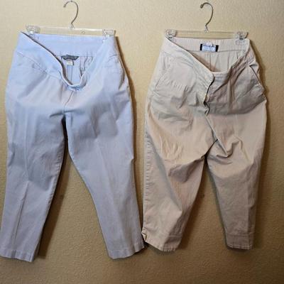 Women's Size 12 Pants – Signature Slimming & Briggs New York – Neutral Tones
