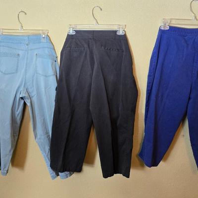 Women's Size 12 Summer Capris & Shorts Collection