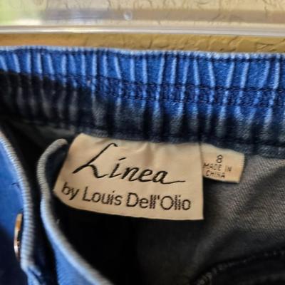 Women's Size 8 Shorts – Quacker Factory, Time and Tru, Linea by Louis Dell'Olio