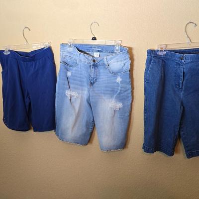 Women's Size 8 Shorts – Quacker Factory, Time and Tru, Linea by Louis Dell'Olio