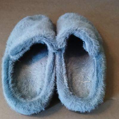 Two Pairs of Women's Footwear: Naot and Alegria