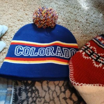 Winter Accessories Lot with Scarves, Hats, and Gloves