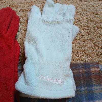 Winter Accessories Lot with Scarves, Hats, and Gloves