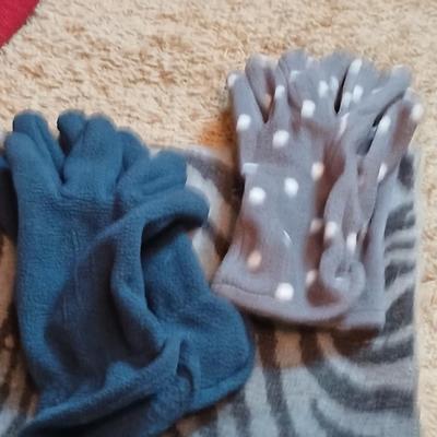 Winter Accessories Lot with Scarves, Hats, and Gloves