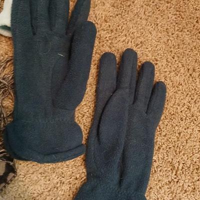 Winter Accessories Lot with Scarves, Hats, and Gloves