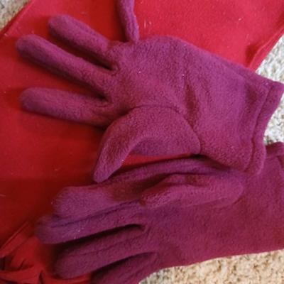 Winter Accessories Lot with Scarves, Hats, and Gloves