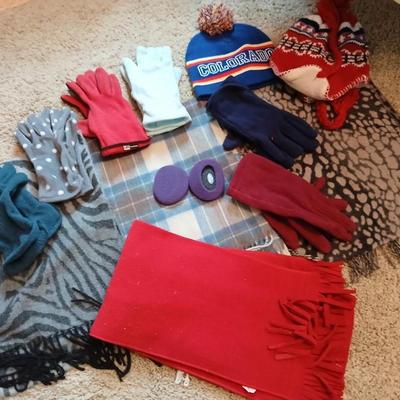 Winter Accessories Lot with Scarves, Hats, and Gloves