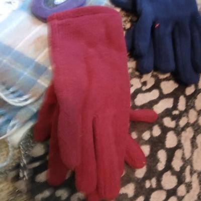 Winter Accessories Lot with Scarves, Hats, and Gloves