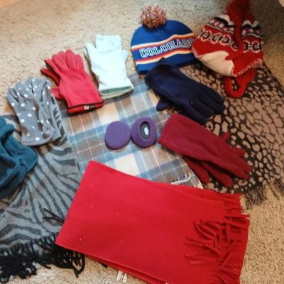 Winter Accessories Lot with Scarves, Hats, and Gloves