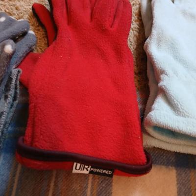 Winter Accessories Lot with Scarves, Hats, and Gloves