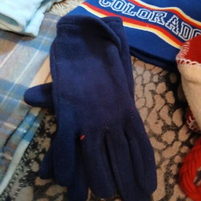 Winter Accessories Lot with Scarves, Hats, and Gloves