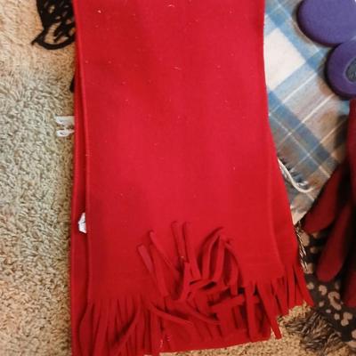 Winter Accessories Lot with Scarves, Hats, and Gloves