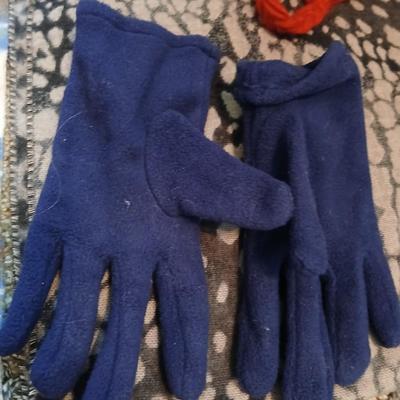 Winter Accessories Lot with Scarves, Hats, and Gloves