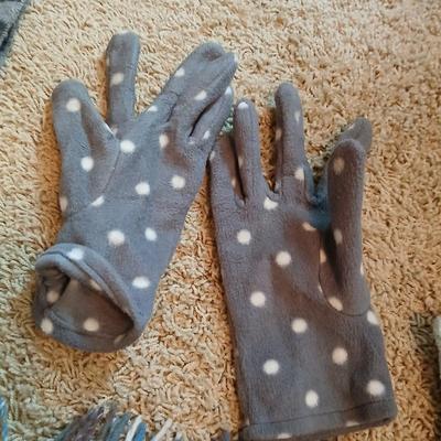 Winter Accessories Lot with Scarves, Hats, and Gloves