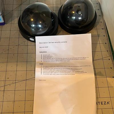 Motion Security Light & Simulated Dome Camera Set