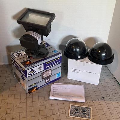 Motion Security Light & Simulated Dome Camera Set